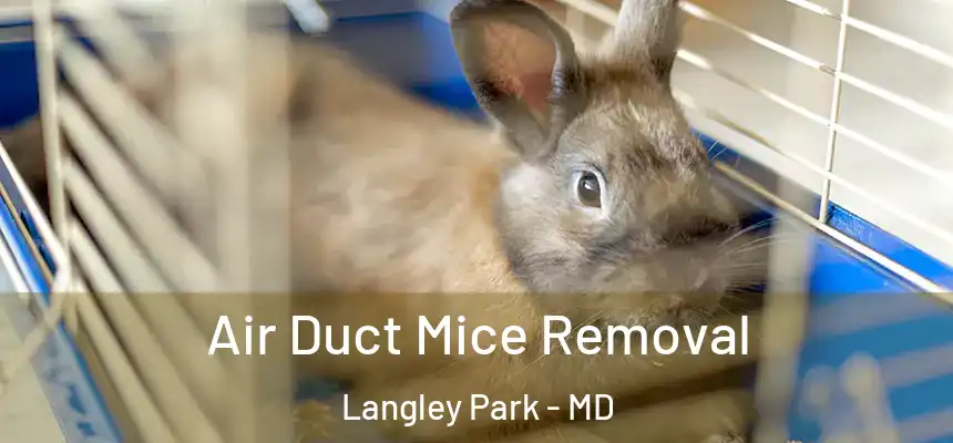  Air Duct Mice Removal Langley Park - MD
