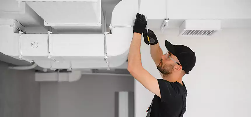 Our Air Duct Cleaning Services in Langley Park, MD