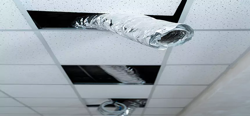 Affordable HVAC Sanitizing After Pest Removal in Langley Park