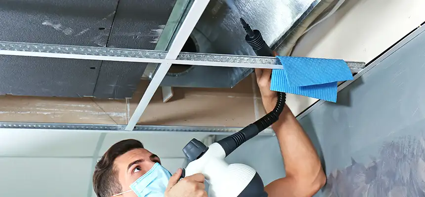 Our Air Duct Rodent Removal Services in Langley Park, MD