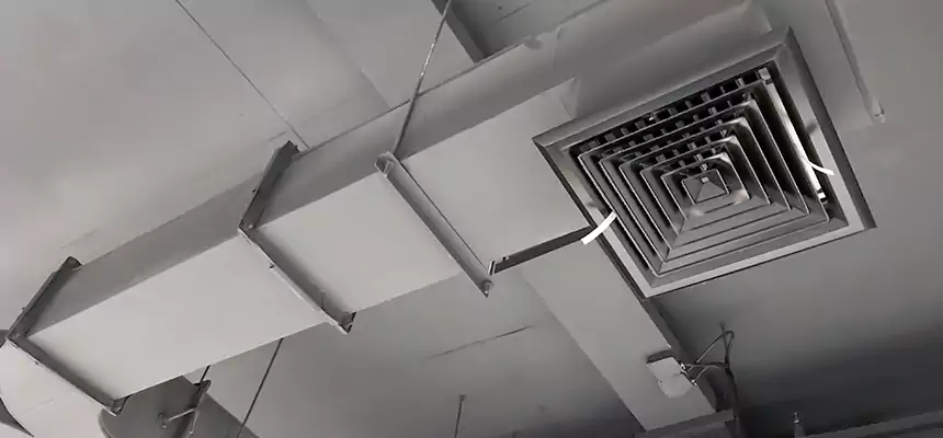 Restorative Allergy Relief Vent Cleaning – Coil, Blower & Housing Detail in Langley Park