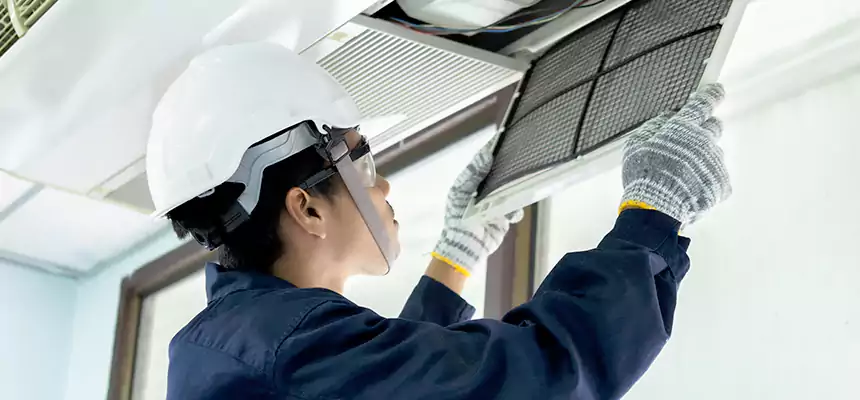 Our Mold & Mildew Removal from Air Ducts Services in Langley Park, MD