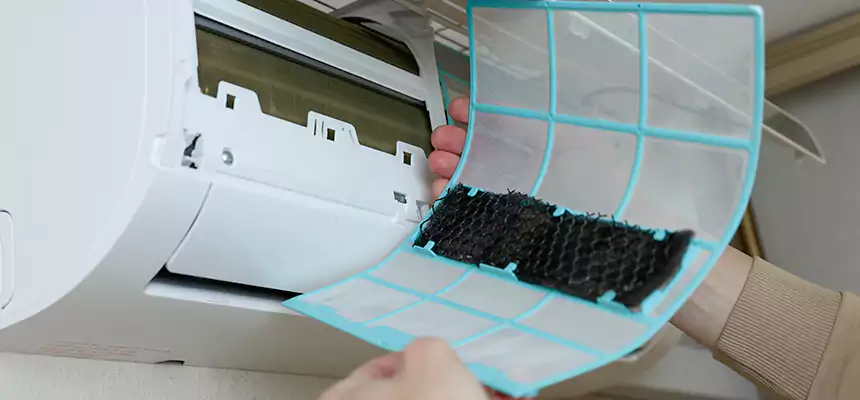 Gentle Ductwork Odor-Control Pet Dander Duct Cleaning in Langley Park, MD