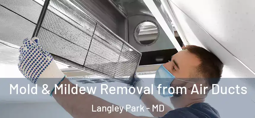  Mold & Mildew Removal from Air Ducts Langley Park - MD