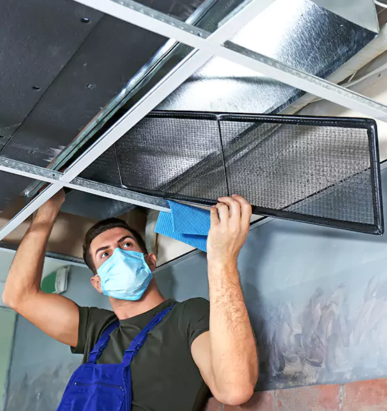 About Air Duct Bacteria Removal in Langley Park