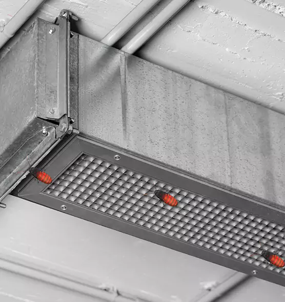 About Air Duct Cockroach Removal in Langley Park, MD