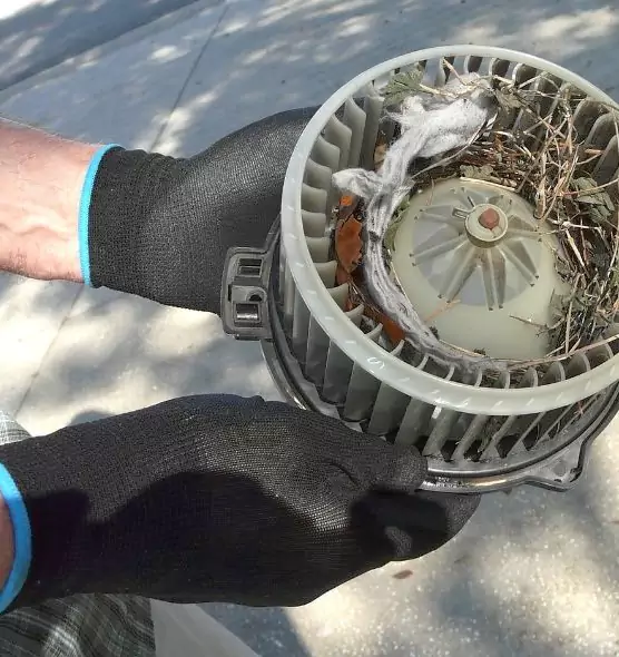 About Air Duct Mice Removal in Langley Park, MD