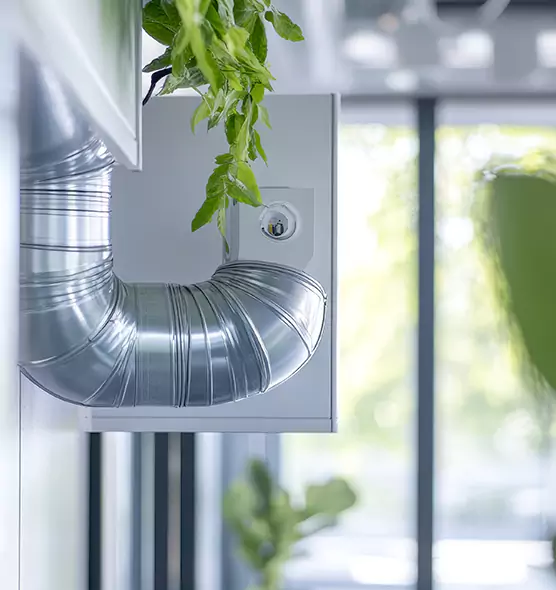 Professional Eco-Safe Dryer Vent Cleaning in Langley Park, MD