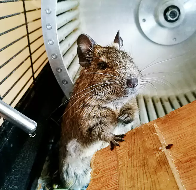 Why Homeowners & Businesses Trust Us Langley Park, MD