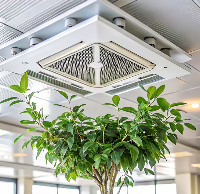 Why Homeowners & Businesses Trust Us in Langley Park, MD