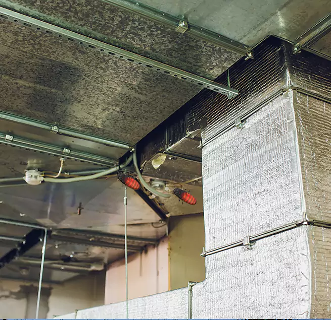 Why Homeowners & Businesses Trust Us Langley Park, MD?