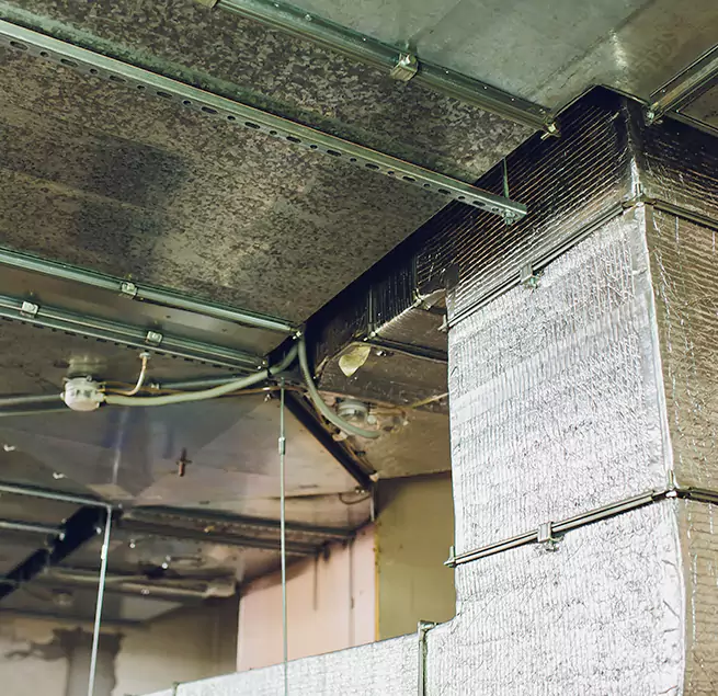 Why Homeowners & Businesses Trust Us in Langley Park, MD?