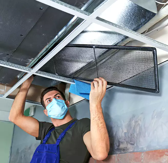 Why Homeowners Businesses Trust Us in Langley Park, MD